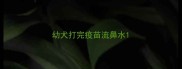 幼犬打完疫苗流鼻水