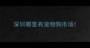 深圳哪里有宠物狗市场