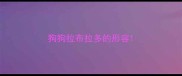 狗狗拉布拉多的形容