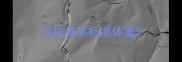 边牧身高标准体重