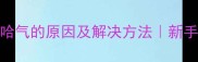 猫咪突然开始哈气的原因及解决方法新手养猫必看全攻略