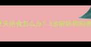 哈士奇夏天绝食怎么办3步解锁狗狗食欲密码