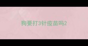 狗要打3针疫苗吗