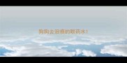 狗狗去泪痕的眼药水