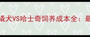 阿拉斯加雪橇犬VS哈士奇饲养成本全最新养护指南