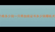 哈尔滨边牧价格多少钱一只带血统证书多少钱哪些犬舍值得推荐