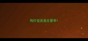 狗打疫苗是在夏季
