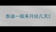 泰迪一般来月经几天