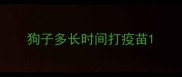 狗子多长时间打疫苗