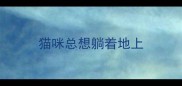 猫咪总想躺着地上