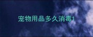 宠物用品多久消毒