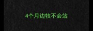 4个月边牧不会站