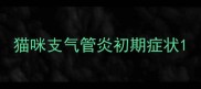 猫咪支气管炎初期症状