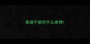 泰迪不能吃什么食物