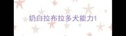 奶白拉布拉多犬能力