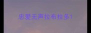 忠爱无声拉布拉多