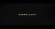 想去宠物店上班怎么办