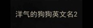 洋气的狗狗英文名
