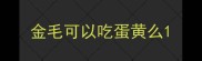 金毛可以吃蛋黄么