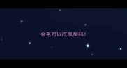金毛可以吃凤梨吗