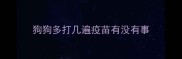 狗狗多打几遍疫苗有没有事