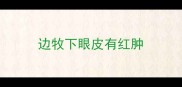 边牧下眼皮有红肿