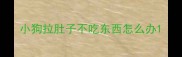 小狗拉肚子不吃东西怎么办