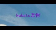 kakato宠物