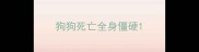 狗狗死亡全身僵硬