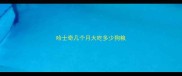 哈士奇几个月大吃多少狗粮