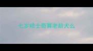 七岁哈士奇算老龄犬么