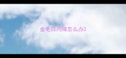 金毛白内障怎么办