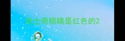 哈士奇眼睛是红色的