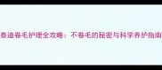泰迪卷毛护理全攻略不卷毛的秘密与科学养护指南