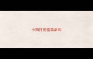 小狗打完疫苗后叫