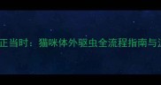 科学养护正当时猫咪体外驱虫全流程指南与注意事项