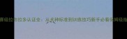 CKU赛级拉布拉多认证全从犬种标准到训练技巧新手必看保姆级指南