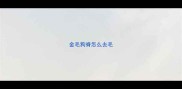 金毛狗脊怎么去毛