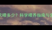 6斤泰迪每天喂多少科学喂养指南与营养配比全