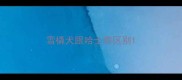 雪橇犬跟哈士奇区别