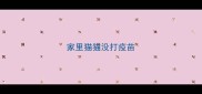 家里猫猫没打疫苗