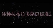 纯种拉布拉多尾巴标准