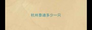 杭州泰迪多少一只