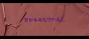 喜乐蒂与边牧外观上