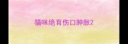 猫咪绝育伤口肿胀