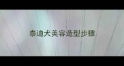 泰迪犬美容造型步骤
