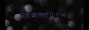 营养膏狗吃几个月