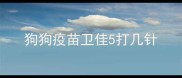 狗狗疫苗卫佳5打几针