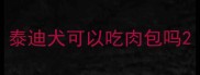 泰迪犬可以吃肉包吗