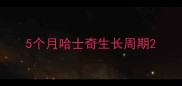 5个月哈士奇生长周期